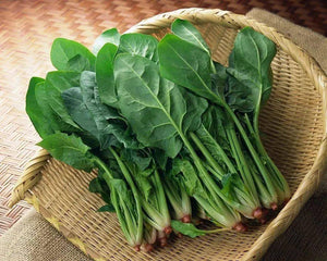 100PCS Bonsai Heirloom Green Malabar Spinach Seeds Vegetable Spinach Salad Leaves Good Taste Non-GMO Home Garden Plants