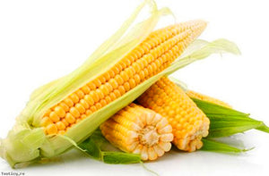 20pcs bonsai yellow sweet glutinous corn seeds waxy corn vegetable seeds red corn sticky plant seeds