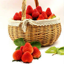 Load image into Gallery viewer, 300Pcs Common Strawberry Bonsai Fragaria ananassa Milk strawberry Fruit Seeds bonsai potted plants indoor perennial fruit bonsai plant
