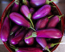 Load image into Gallery viewer, 100pcs/bag Purple Round Eggplant Seeds Organic Eggplant Vegetable Seeds Bonsai Plants
