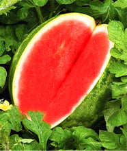 Load image into Gallery viewer, 30PCS Bonsai Giant Watermelon Seeds Sweet Taste Fruit Very Giant Delicious Food potted plants For Home Garden Seed
