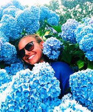 Load image into Gallery viewer, 50Pcs Gaint Hydrangea Seeds Bonsai flower bonsai Seeds plants rare flower potted plant bonsai tree Semilla plantas
