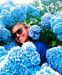 50Pcs Gaint Hydrangea Seeds Bonsai flower bonsai Seeds plants rare flower potted plant bonsai tree Semilla plantas