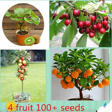 Load image into Gallery viewer, 100pcs 4 kind Bonsai fruit tree seeds Perennial Dwarf Kiwi Apple Lemon Cherry bonsai fruit seeds garden potted plant
