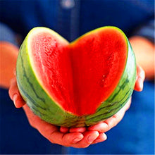 Load image into Gallery viewer, 30PCS Bonsai Giant Watermelon Seeds Sweet Taste Fruit Very Giant Delicious Food potted plants For Home Garden Seed
