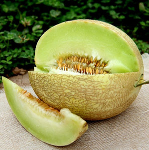 20pcs cantaloupe fruit seeds melon Very sweet fruit  plants Bonsai seeds for mini garden plant melon