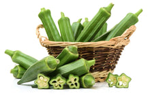 Load image into Gallery viewer, 50PCS Bonsai Organic Okra Seeds Non GMO Vegetable Seeds Good For Kidney Garden Supplies For Fun Countryside Garden plants
