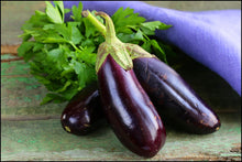 Load image into Gallery viewer, 100pcs/bag Purple Round Eggplant Seeds Organic Eggplant Vegetable Seeds Bonsai Plants
