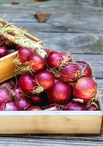 100pcs Sweet Onion Spanish Bonsai Plants vegetables germination 95% Perennial Non-GMO onion for garden bonsai plant Easy to Grow