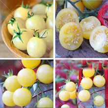 Load image into Gallery viewer, 200pcs Climbing Tomato Seeds mini cherry milk tomatoes bonsai fruit and vegetables plants seeds for home garden planting potted plant
