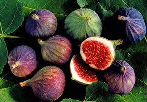 100pcs Fig fruit Seeds bonsai Ficus carica rare tropical fruit bonsai tree perennial potted plants for home garden planting