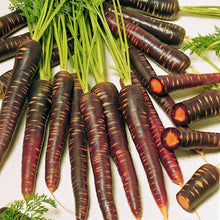 Load image into Gallery viewer, 300pcs mix carrot seeds organic fruit vegetable plants seeds Daucus carota sweet and healthy plant for home garden planting
