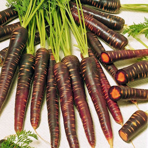 300pcs mix carrot seeds organic fruit vegetable plants seeds Daucus carota sweet and healthy plant for home garden planting