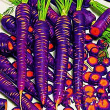 Load image into Gallery viewer, 300pcs mix carrot seeds organic fruit vegetable plants seeds Daucus carota sweet and healthy plant for home garden planting
