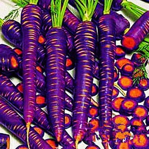 300pcs mix carrot seeds organic fruit vegetable plants seeds Daucus carota sweet and healthy plant for home garden planting