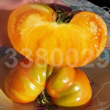 Load image into Gallery viewer, 200pcs Giant Big Tomato Seeds Bonsai Large Tasty Tomato Organic Food Bonsai Vegetables Seeds plants for home garden potted plants planting
