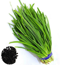 Load image into Gallery viewer, 100 Pcs Bonsai Garlic Chives Seeds Chinese Organic Vegetable Seed Non-GMO Healthy Bonsai Green Food Vegatable For Home Garden plants
