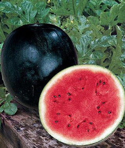 30pcs/pack Glass Ball Watermelon Seeds bonsai Fruit Outer black inner red Fruit Delicious for garden bonsai plants