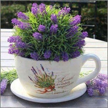 Load image into Gallery viewer, 100pcs Lavender Flower Seeds Bonsai Lavandula angustifolia Very fragrant flower plant perennial indoor garden flowering potted plants
