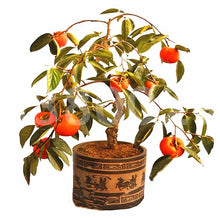 Load image into Gallery viewer, 20Pcs Persimmon Seeds Bonsai Exotic Bonsai Beautiful Delicious Diospyros Kaki Fruit Seeds Tree Home Garden Plants Fruit Bonsai Potted plants
