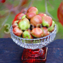 Load image into Gallery viewer, 200pcs Kiwi Fruit Seeds Tree Bonsai Rare Mini Kiwiberry Bonsai Delicious Organic High Nutritional Fruit For Home Garden Potted Plants
