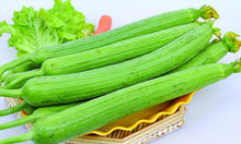 Load image into Gallery viewer, 10pcs Long Loofah Seeds Vegetable Plants Luffa cylindrica Organic non-GMO healthy vegetables plantas for home garden plants planting
