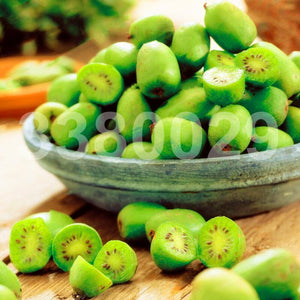 200pcs Kiwi Fruit Seeds Tree Bonsai Rare Mini Kiwiberry Bonsai Delicious Organic High Nutritional Fruit For Home Garden Potted Plants