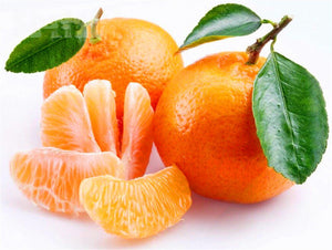 20pcs Orange Fruit Seeds Bonsai Citrus Bonsai Mandarin Orange plants Edible Fruit Bonsai Tree Healthy Food Home Garden decoration plantas