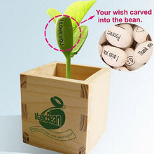 Load image into Gallery viewer, 2pcs Magic Growing Message Beans Bonsai Seeds Magic Bean English Magic Bean Potted Green Office Home Decor for Flower Pot Planter Planting
