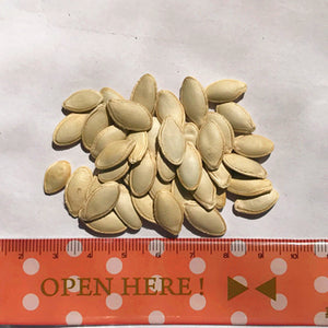 20pcs Bonsai Gaint Pumpkin Seeds Rare fruit and vegetable seeds plants organic Non-GMO Pumpkin for home garden planting